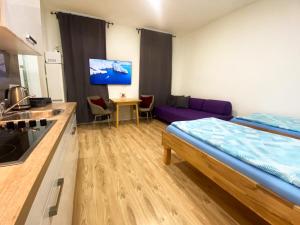 Vienna Senator Flat Paulus