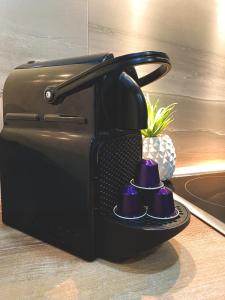 Vienna Senator Flat Paulus