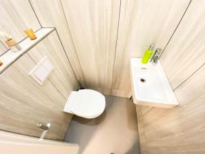 Vienna Senator Flat Paulus