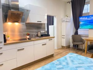 Vienna Senator Flat Paulus