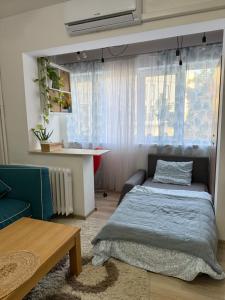 Modern apartment in central area