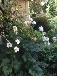 Appartements Appartement une chambre Avec Jardin : photos des chambres