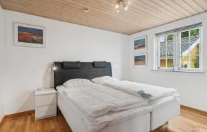 Pet Friendly Home In Ebeltoft With Wifi