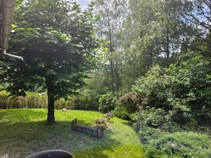 Chalets Le chalet de l-Ange - gite - bain nordique : photos des chambres