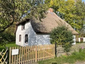 Ferienhaus mit Reetdach - Lieschow