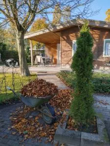 Stelle plas231 - Baarsdorp