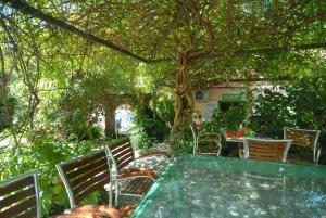 Glamping Italian Riviera