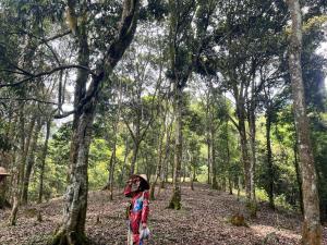 PuBin Spice Hills