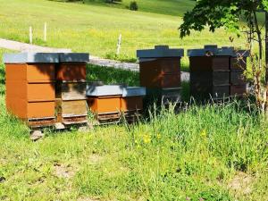 Ferienhaus Brigitte - Breitnau