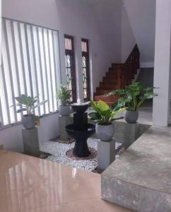 Newlook Holiday Bungalow-Matale
