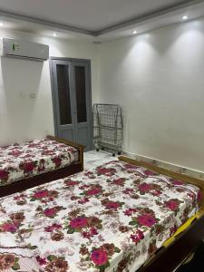 شقة في الدقي