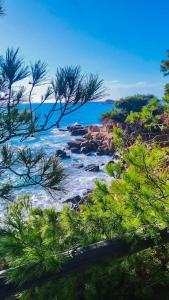 Charmant T2 avec terrasse vue mer