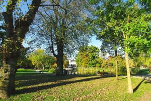 Spacious Suite at Park and Museum