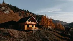 Village Brăduțu - 红湖