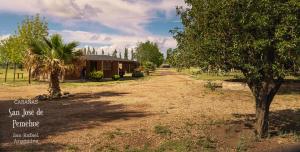 Cabañas San José de Pemehué