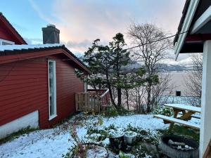 Line på Hauane1