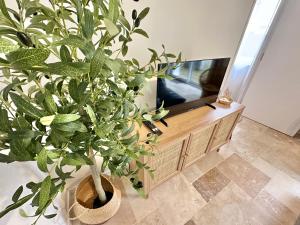 Appartements tout confort idealement places a Berck-Plage : photos des chambres