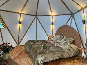 The Island of Xanadu - Langtree