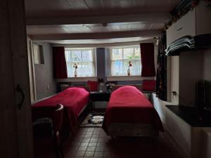 De Zevenster centrum