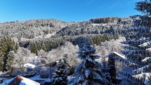 CHALET LES PRIMEVÈRES 4 Étoiles