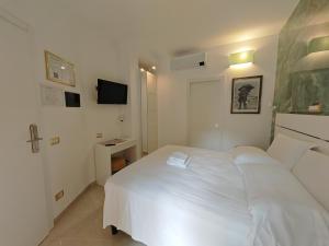 Perfect! Vatican Location