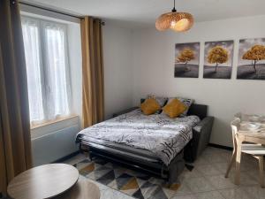 Appartements Le 11 de Colmar : photos des chambres