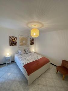 Appartements Le 11 de Colmar : photos des chambres