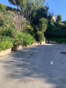 Appartements Charmant duplex au calme avec parking : photos des chambres