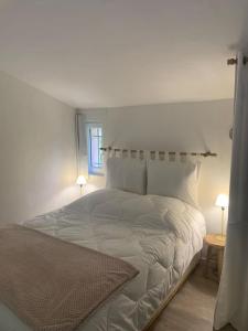 Appartements Charmant duplex au calme avec parking : photos des chambres