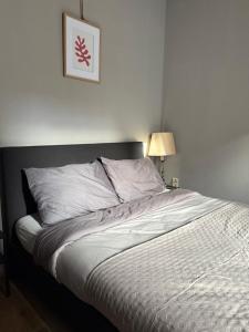 Charming Room in the heart of Antwerp - K2