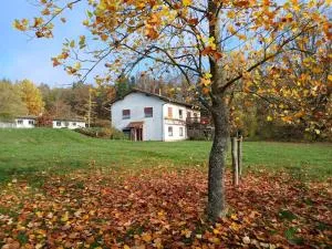 Landhaus Spessart - 维登希