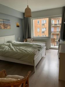 Comfortable 2-bedroom Apartment in the centre of Ostend T93