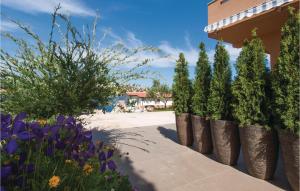 Lovely Apartment In Zatoglav With Wifi 
