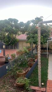 Pátio Musical Fortaleza