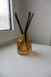 Grand T2 - Rue de la République