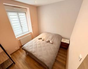 Appartement neuf Mulhouse