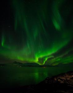 Elegant apartment center of Tromso