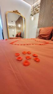 Appartements - LA SUITE DELOS - JACUZZI 2 PLACES - CENTRE VILLE A PIED - LIT QUEEN SIZE - PARKING PRIVEE - WIFI - City Center within walking distance - : photos des chambres