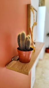 Appartements - LA SUITE DELOS - JACUZZI 2 PLACES - CENTRE VILLE A PIED - LIT QUEEN SIZE - PARKING PRIVEE - WIFI - City Center within walking distance - : photos des chambres