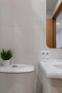 Host Wise - Enchanting Unique Flat - Ace Location