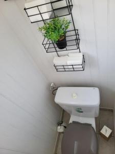 Appartements Appartement cosy dans une maison Proche Mett Tram : photos des chambres