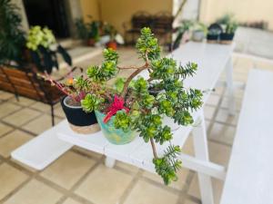 Ester`s Place
