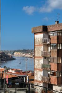 Host Wise - Large Colourful Flats - Ace Location