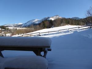 Maisons de vacances Gite Du Col Vert : photos des chambres