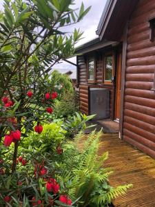 Fern Lodge. Drumcoura Lake Resort,