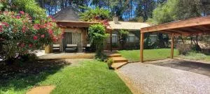 Alma Bosque - 埃斯特角城