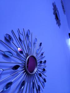 Appartements Studio elegant l-orchidee Jacuzzi en interieur toute l-annee : photos des chambres