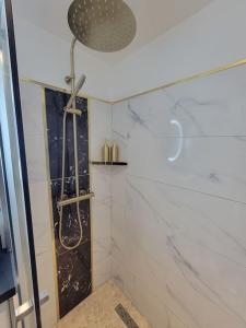 Appartements Studio elegant l-orchidee Jacuzzi en interieur toute l-annee : photos des chambres
