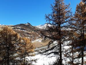 Appartements Residences Les Fibieres - maeva Home - Appartement 2 pieces 4 personnes - Selection MAE-4504 : photos des chambres