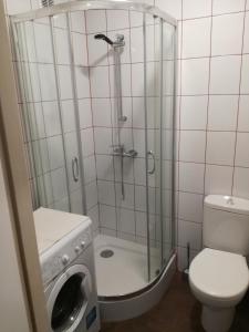 Srebrna Center Apartment